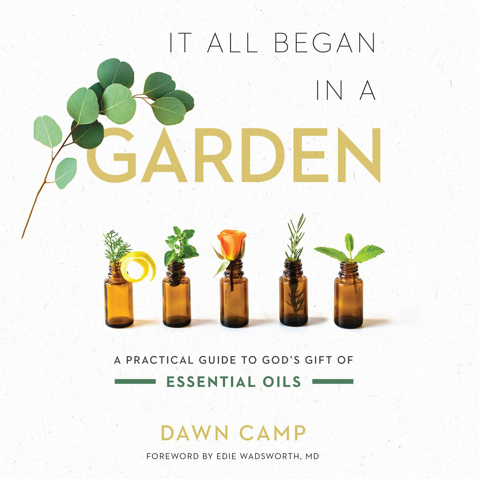 It All Began in a Garden: A Practical Guide to Gods Gift of Essential Oils Audiobook, by Dawn Camp