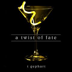 A Twist of Fate Audiobook, by T. Gephart