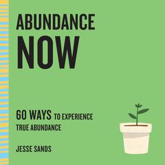 Abundance Now: 60 Ways to Experience True Abundance Audiobook, by Jesse Sands