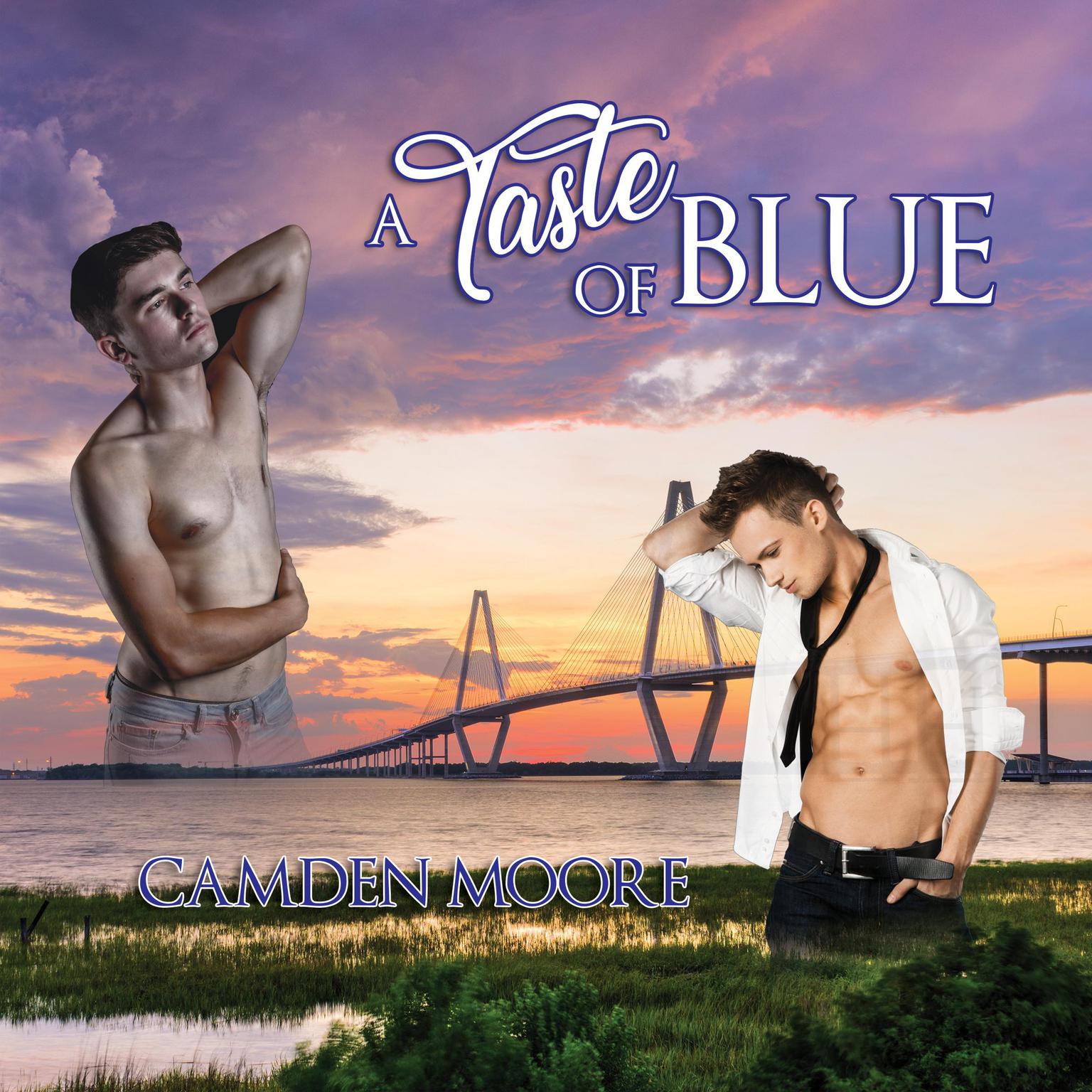 A Taste of Blue Audiobook, by Camden Moore