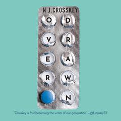 Overdrawn Audiobook, by N.J. Crosskey