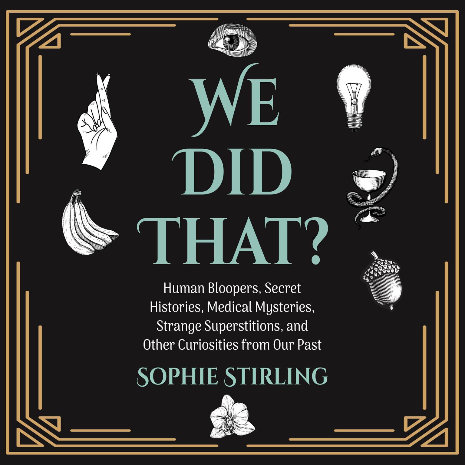 We Did That? Audiobook, by Sophie Stirling