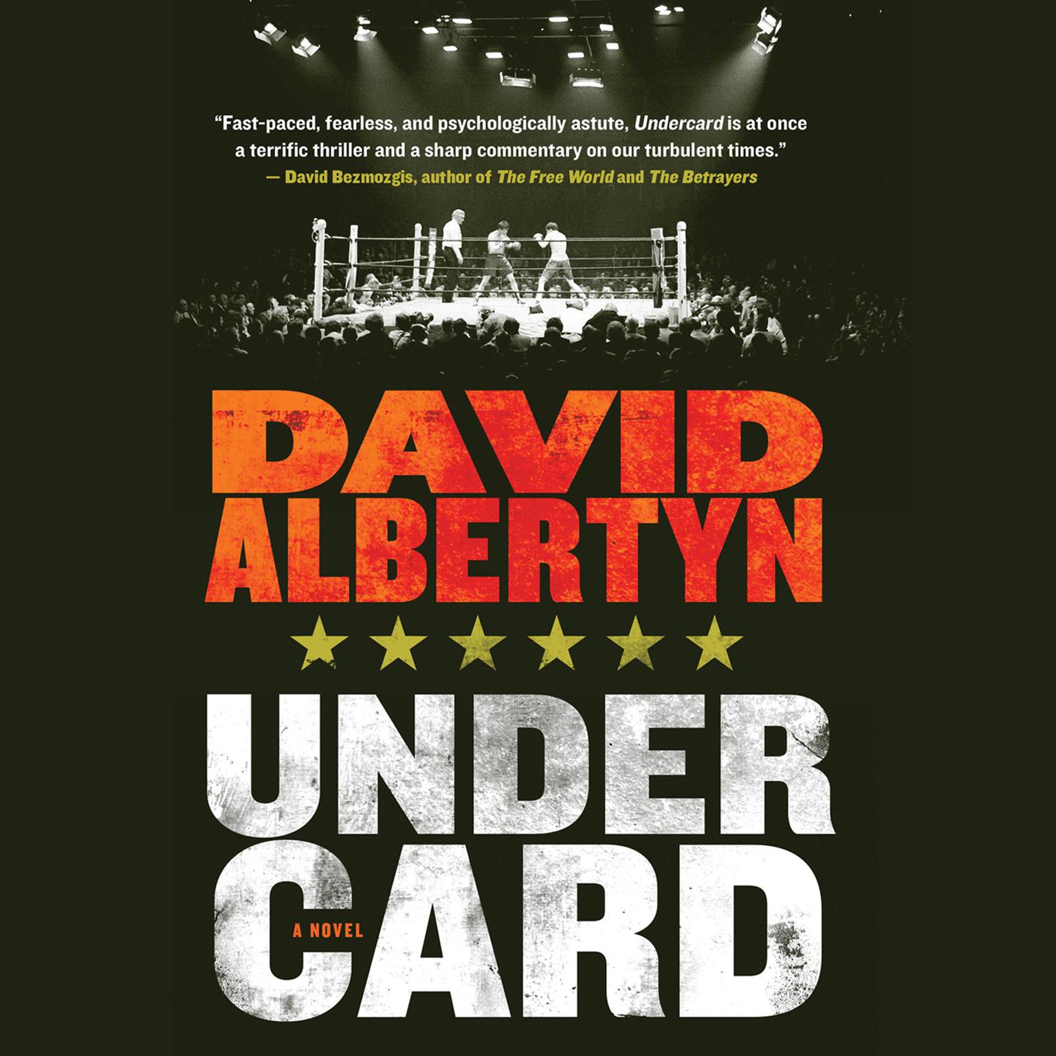 Undercard Audiobook, by David Albertyn