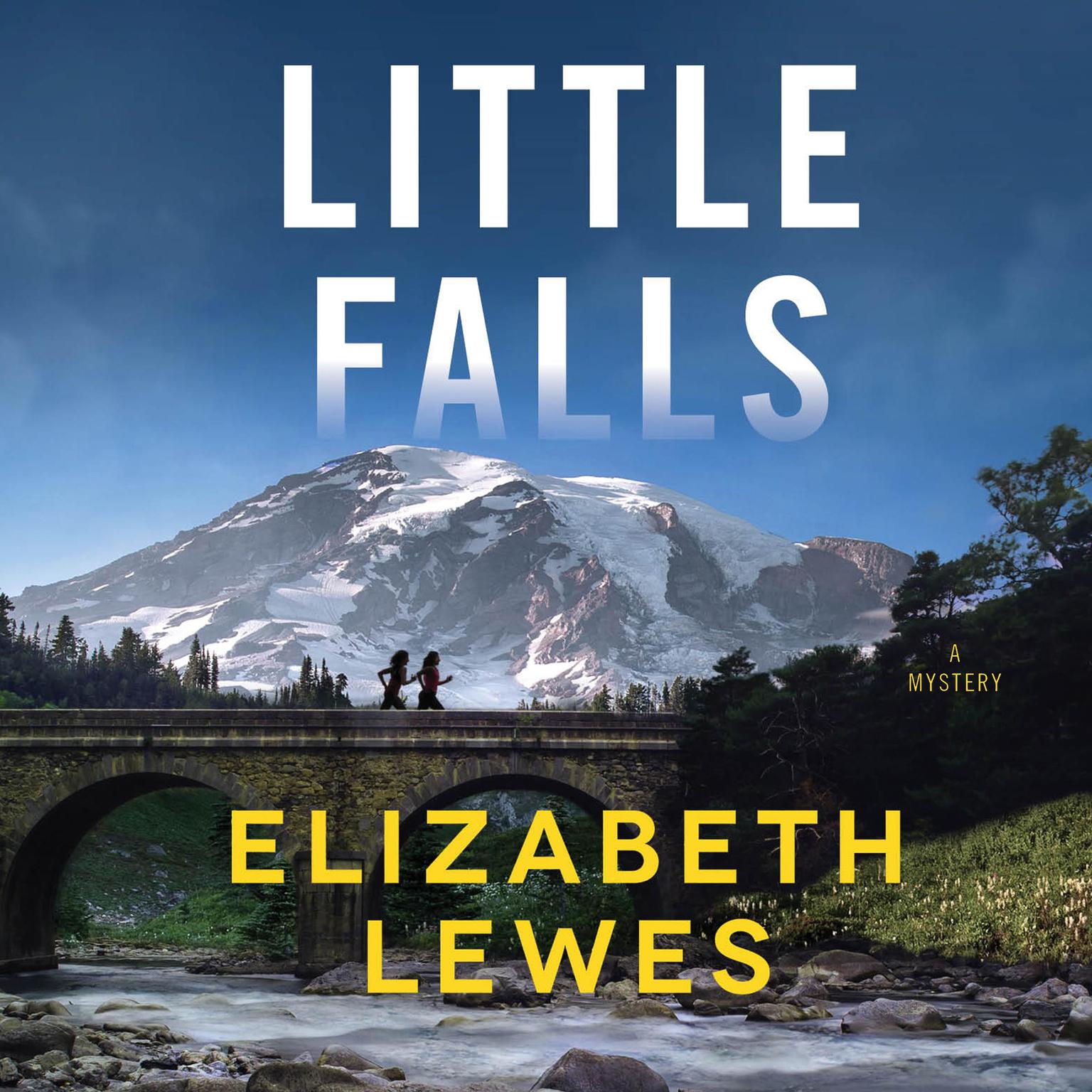 Little Falls: A Novel Audiobook, by Elizabeth Lewes