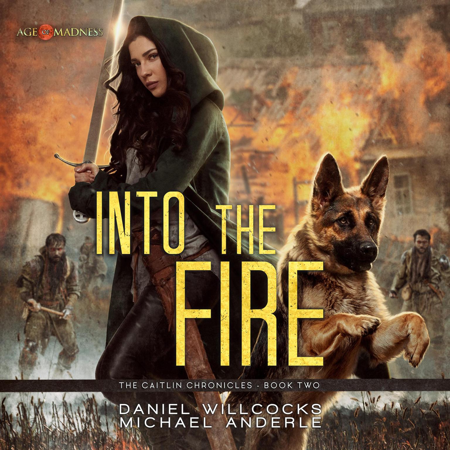Into the Fire: Age Of Madness - A Kurtherian Gambit Series Audiobook, by Michael Anderle