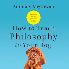 How to Teach Philosophy to Your Dog: Exploring the Big Questions in Life Audiobook, by Anthony McGowan