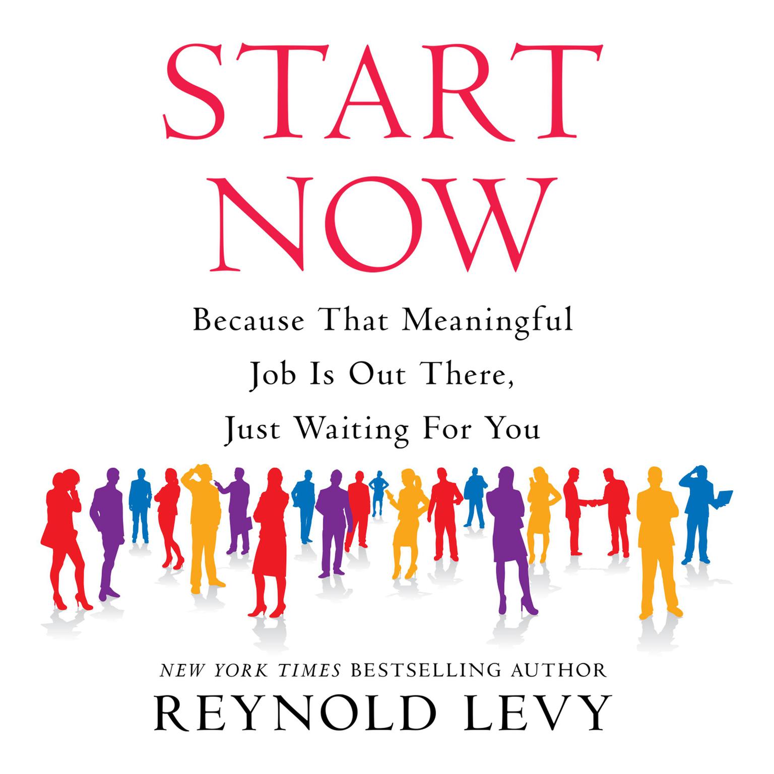 Start Now: Because That Meaningful Job is Out There, Just Waiting For You Audiobook, by Reynold Levy