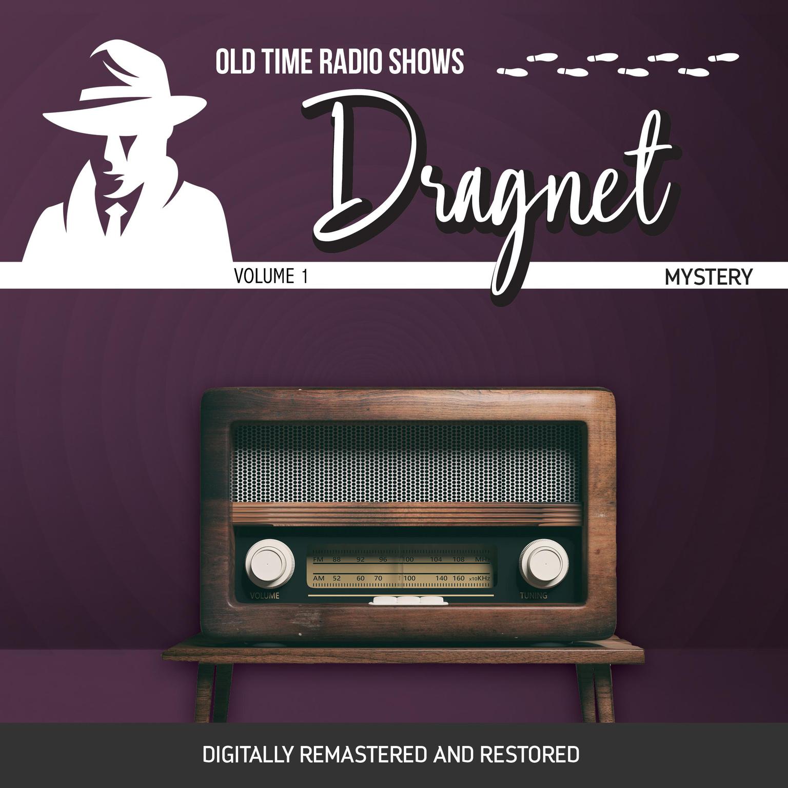 Dragnet: Volume 1 Audiobook, by Jack Webb