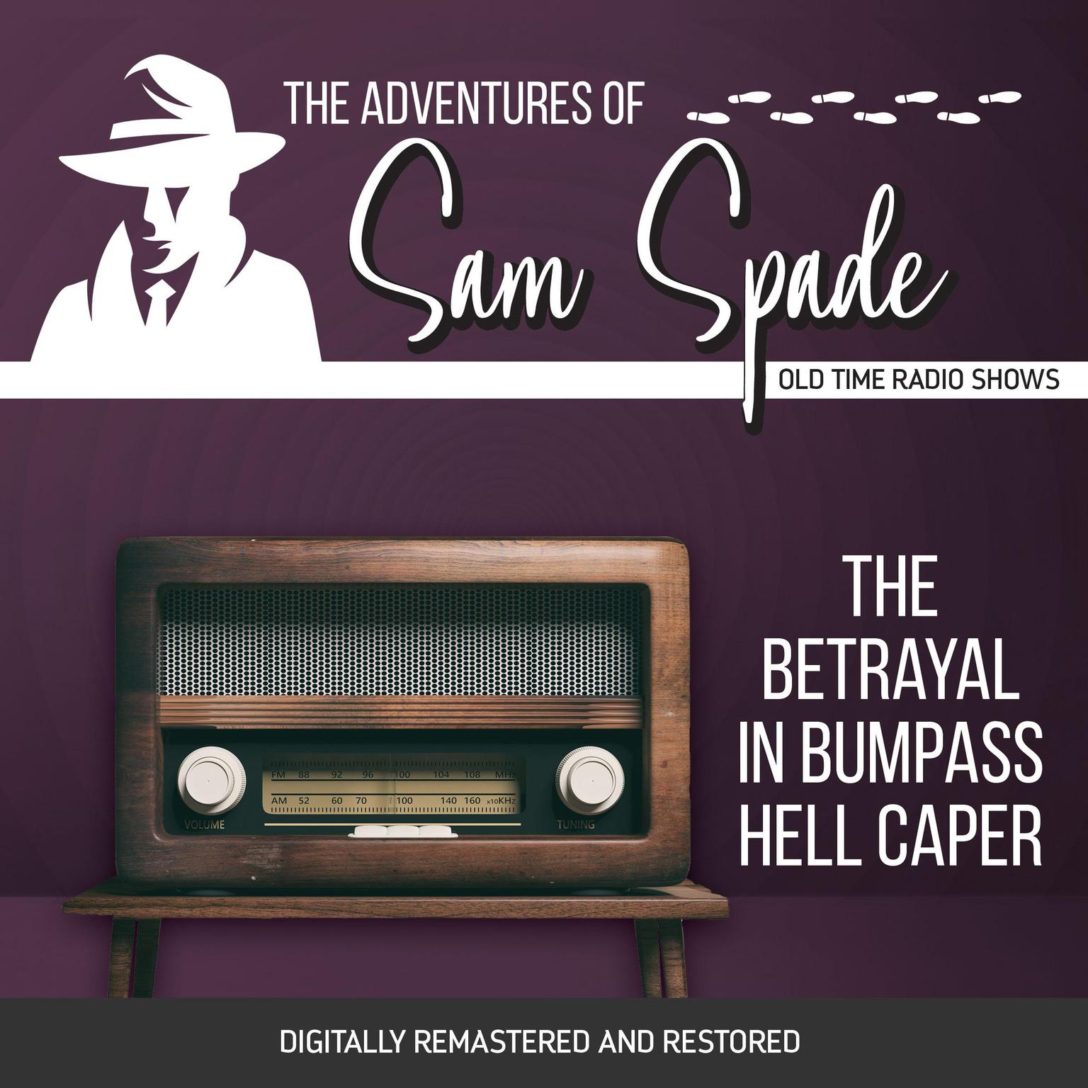 The Adventures of Sam Spade: The Betrayal in Bumpass Hell Caper Audiobook, by Jason James
