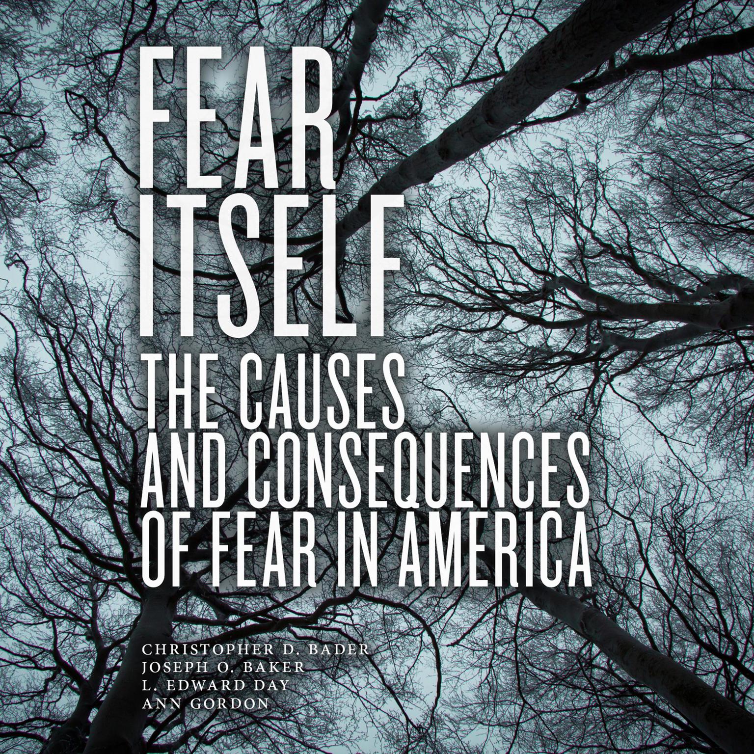 Fear Itself: The Causes and Consequences of Fear in America Audiobook, by Christopher D. Bader