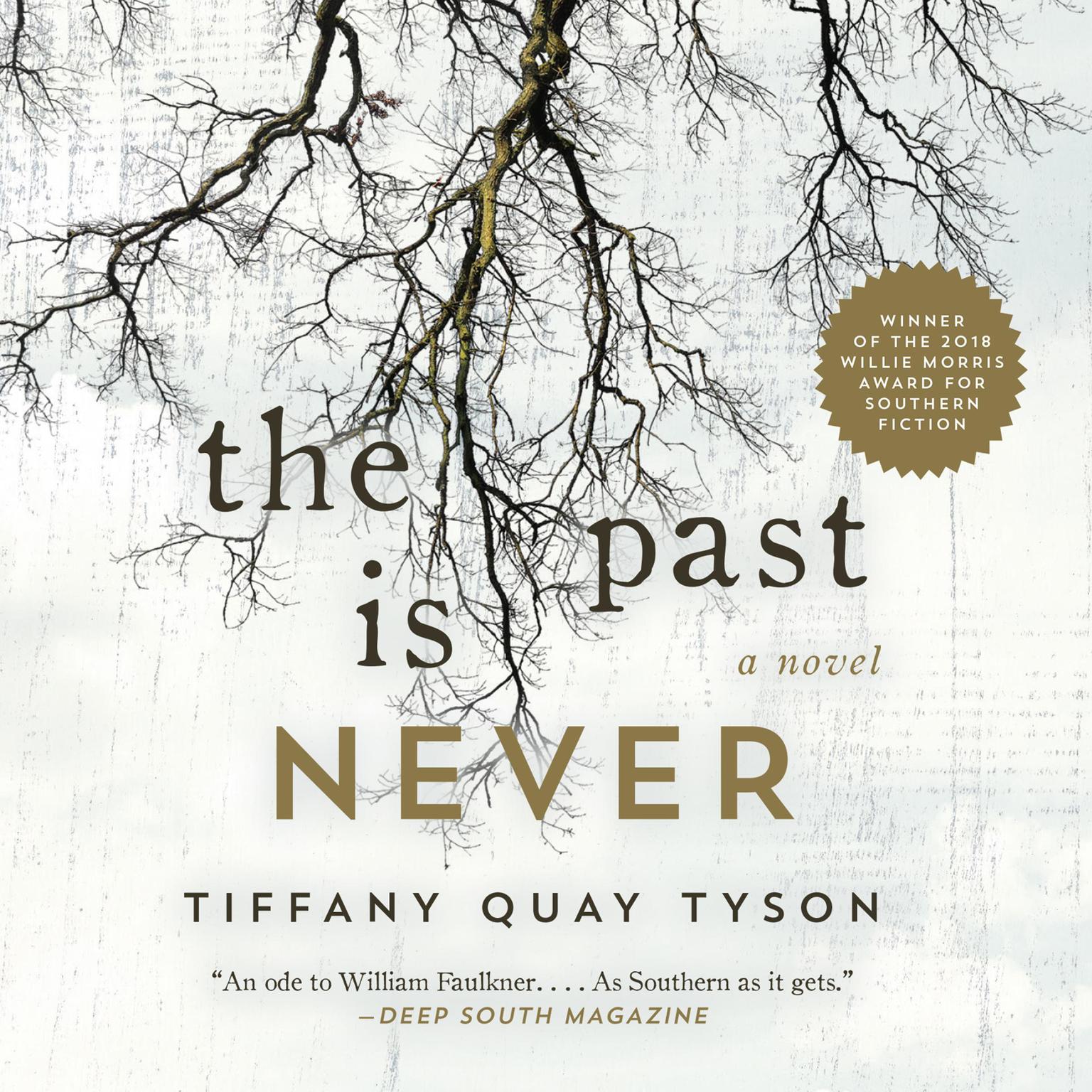 The Past Is Never: A Novel Audiobook, by Tiffany Quay Tyson