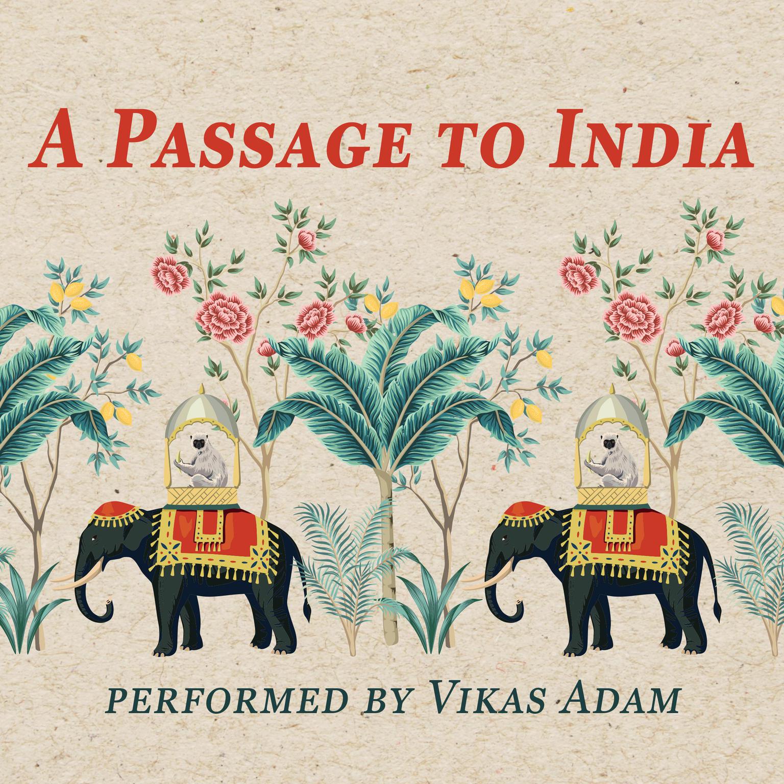 A Passage to India Audiobook, by E. M. Forster