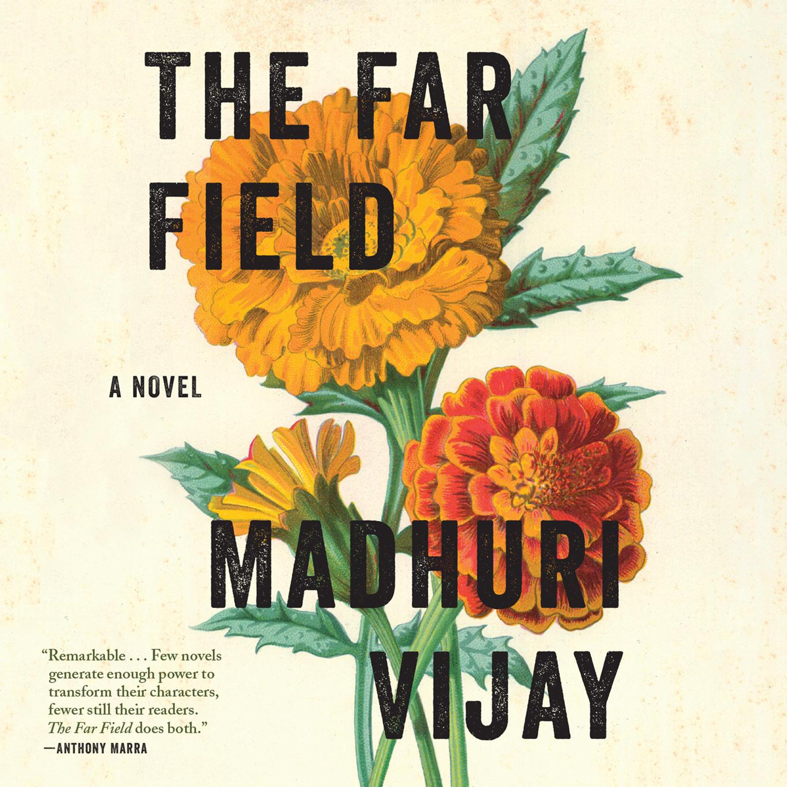 The Far Field Audiobook, by Madhuri Vijay