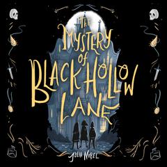 The Mystery of Black Hollow Lane Audiobook, by Julia Nobel