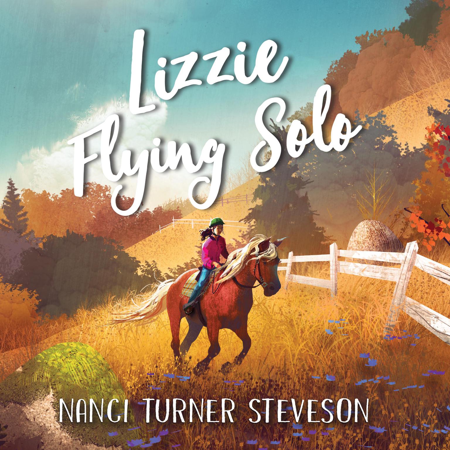 Lizzie Flying Solo Audiobook, by Nanci Turner Steveson