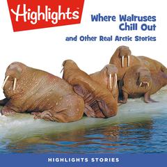 Where Walruses Chill Out and Other Real Arctic Stories Audiobook, by Highlights for Children