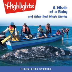 A Whale of a Baby and Other Real Whale Stories Audiobook, by Highlights for Children
