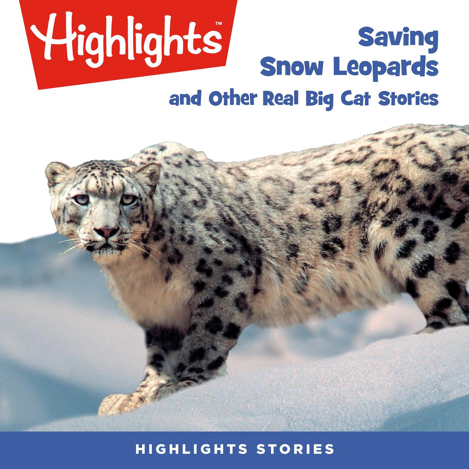 Saving Snow Leopards and Other Real Big Cat Stories Audiobook, by Highlights for Children