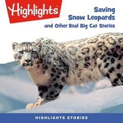 Saving Snow Leopards and Other Real Big Cat Stories Audiobook, by Highlights for Children