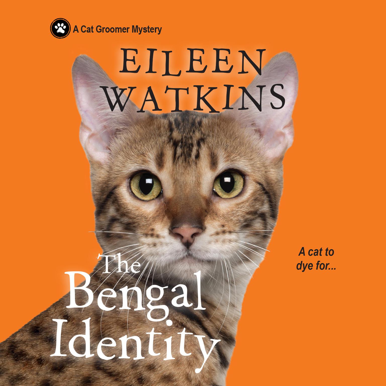 The Bengal Identity Audiobook, by Eileen Watkins