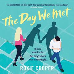 The Day We Met Audiobook, by Roxie Cooper