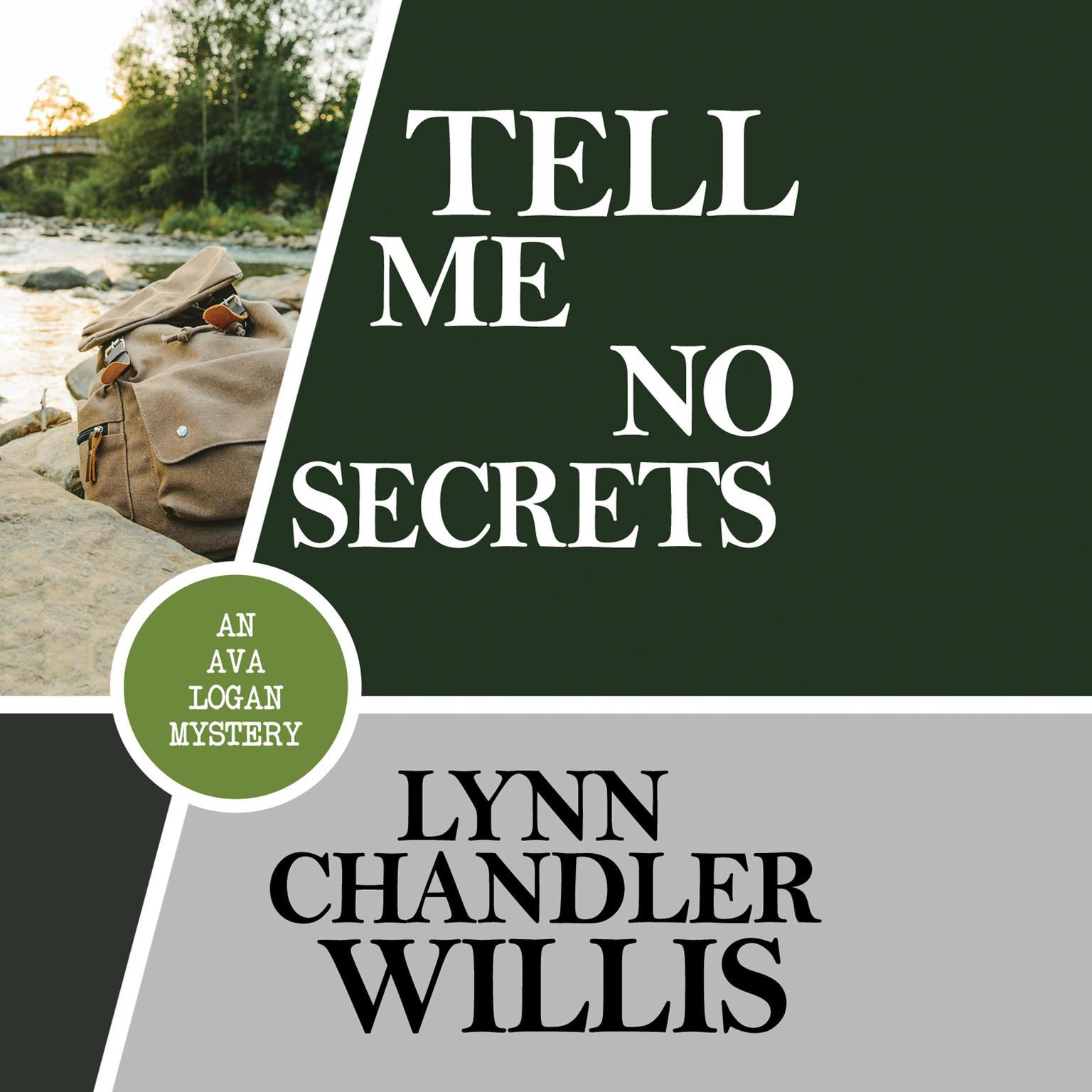 Tell Me No Secrets Audiobook, by Lynn Chandler Willis