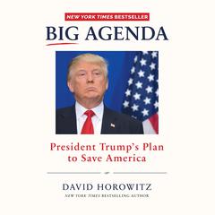 Big Agenda: President Trumps Plan to Save America Audiobook, by David Horowitz