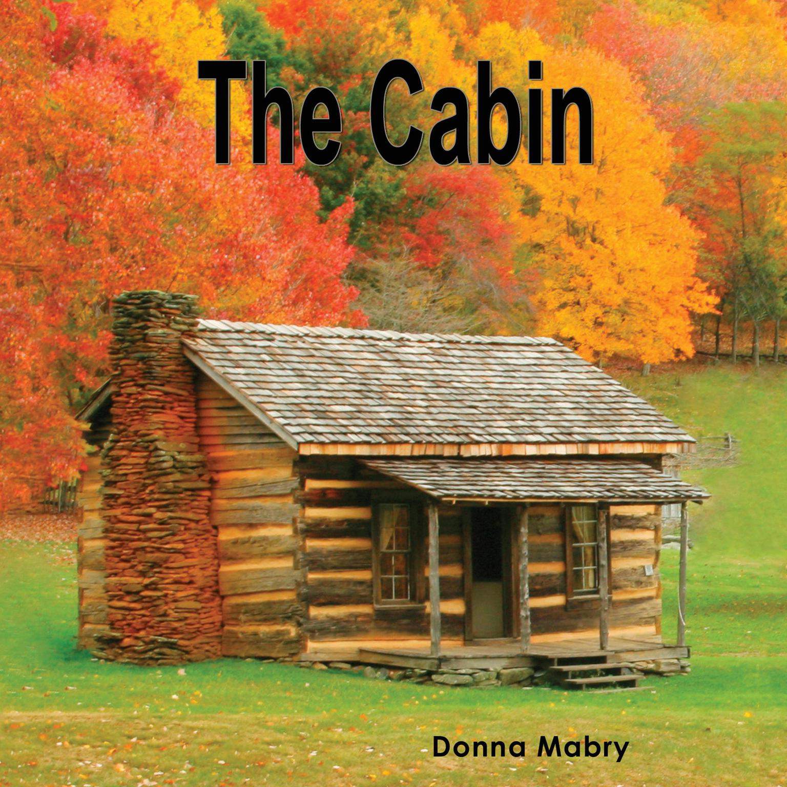 The Cabin Audiobook, by Donna Mabry