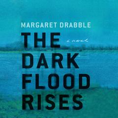 The Dark Flood Rises: A Novel Audiobook, by Margaret Drabble