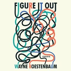 Figure it Out: Essays Audiobook, by Wayne Koestenbaum