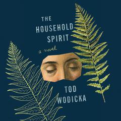 The Household Spirit Audiobook, by Tod Wodicka