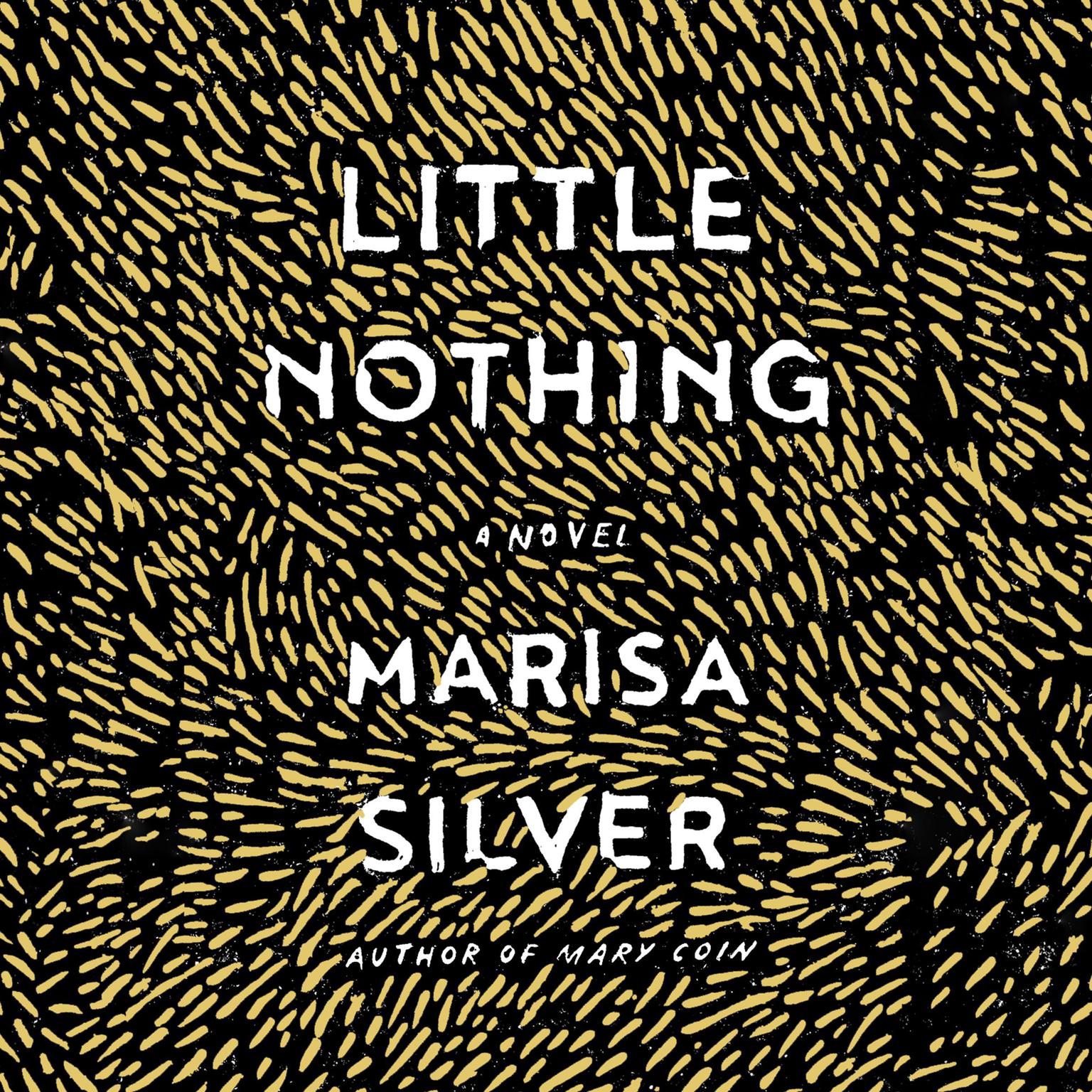 Little Nothing: A Novel Audiobook, by Marisa Silver