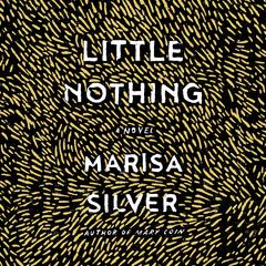Little Nothing: A Novel Audiobook, by Marisa Silver