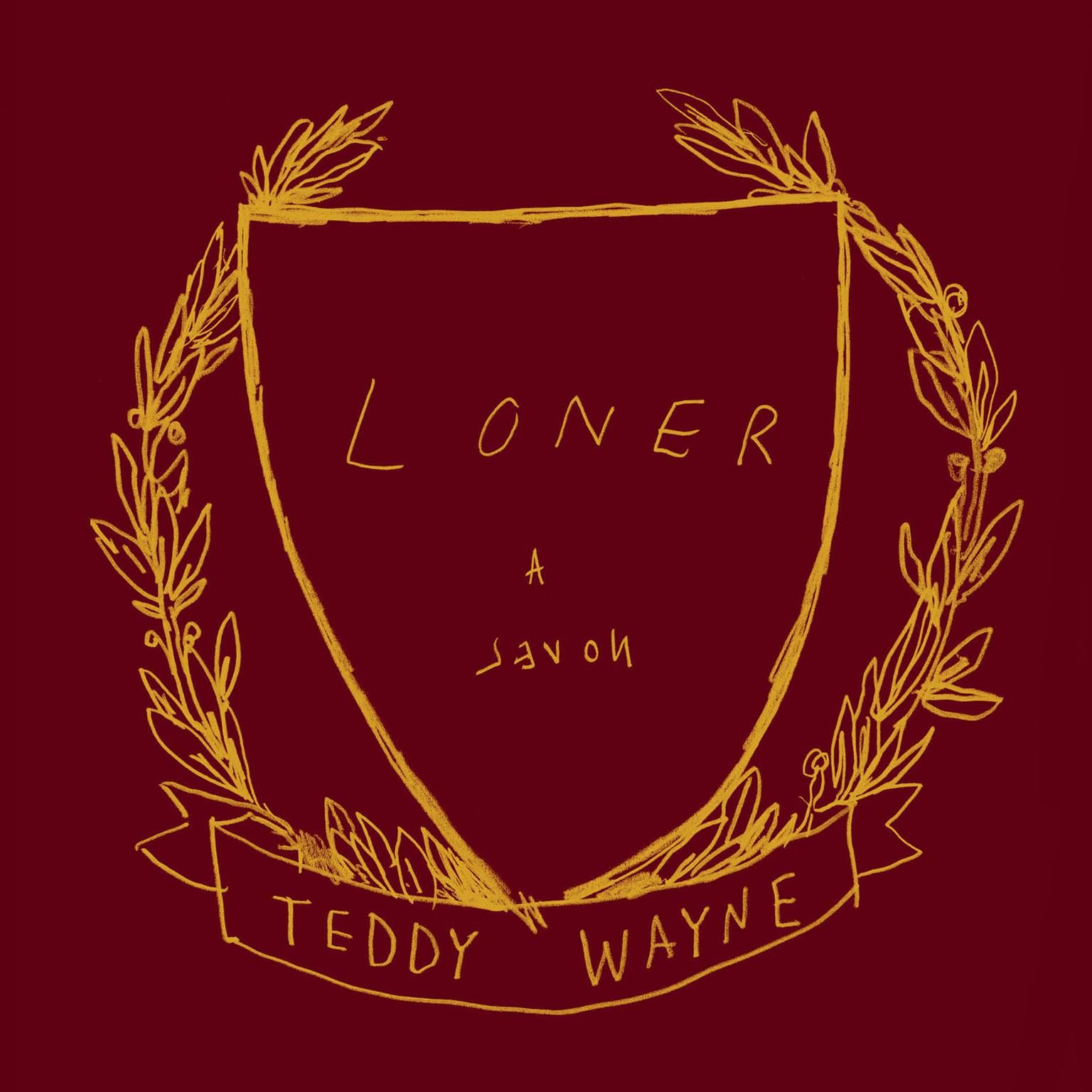 Loner: A Novel Audiobook, by Teddy Wayne