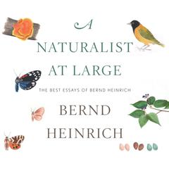 A Naturalist at Large: The Best Essays of Bernd Heinrich Audiobook, by Bernd Heinrich