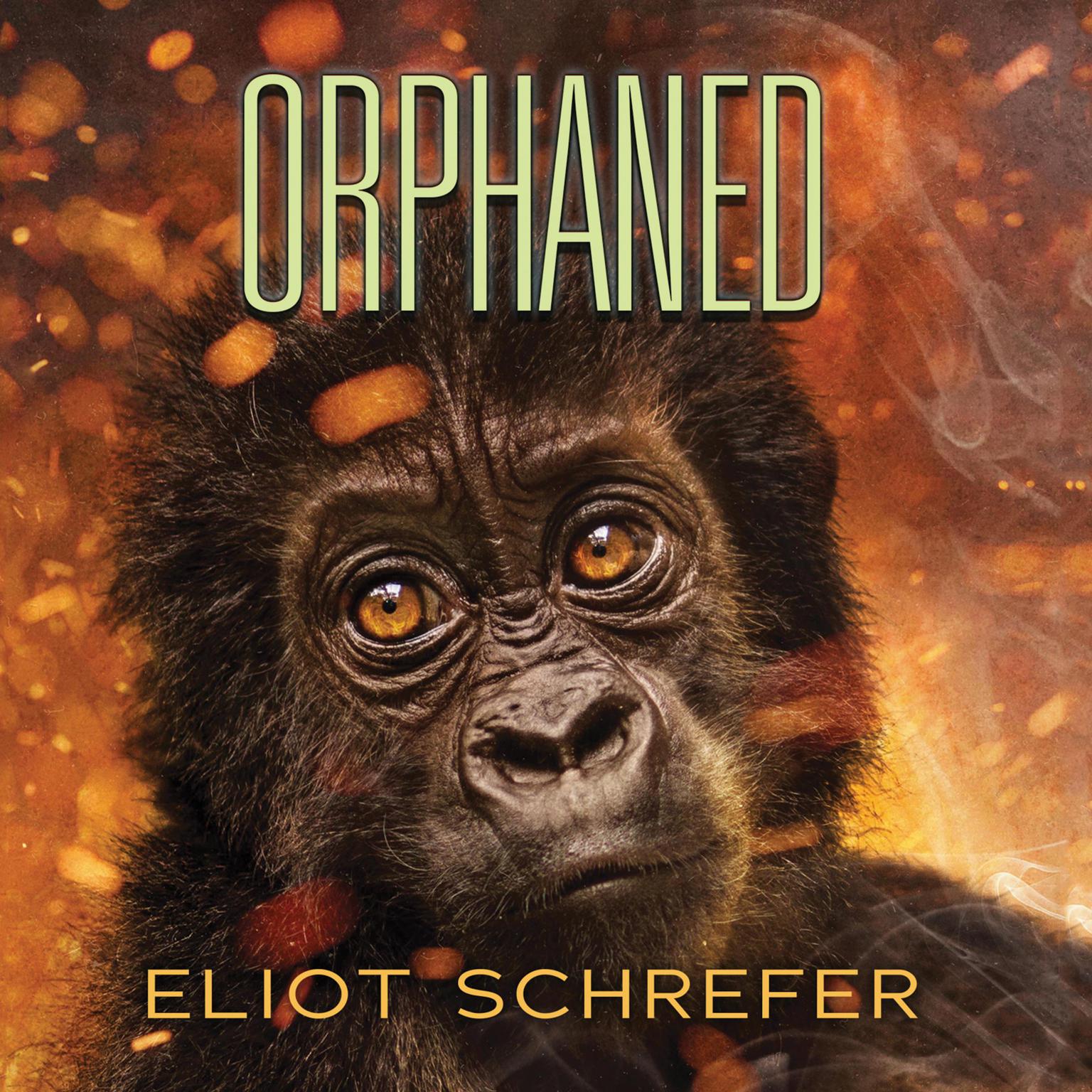 Orphaned Audiobook, by Eliot Schrefer