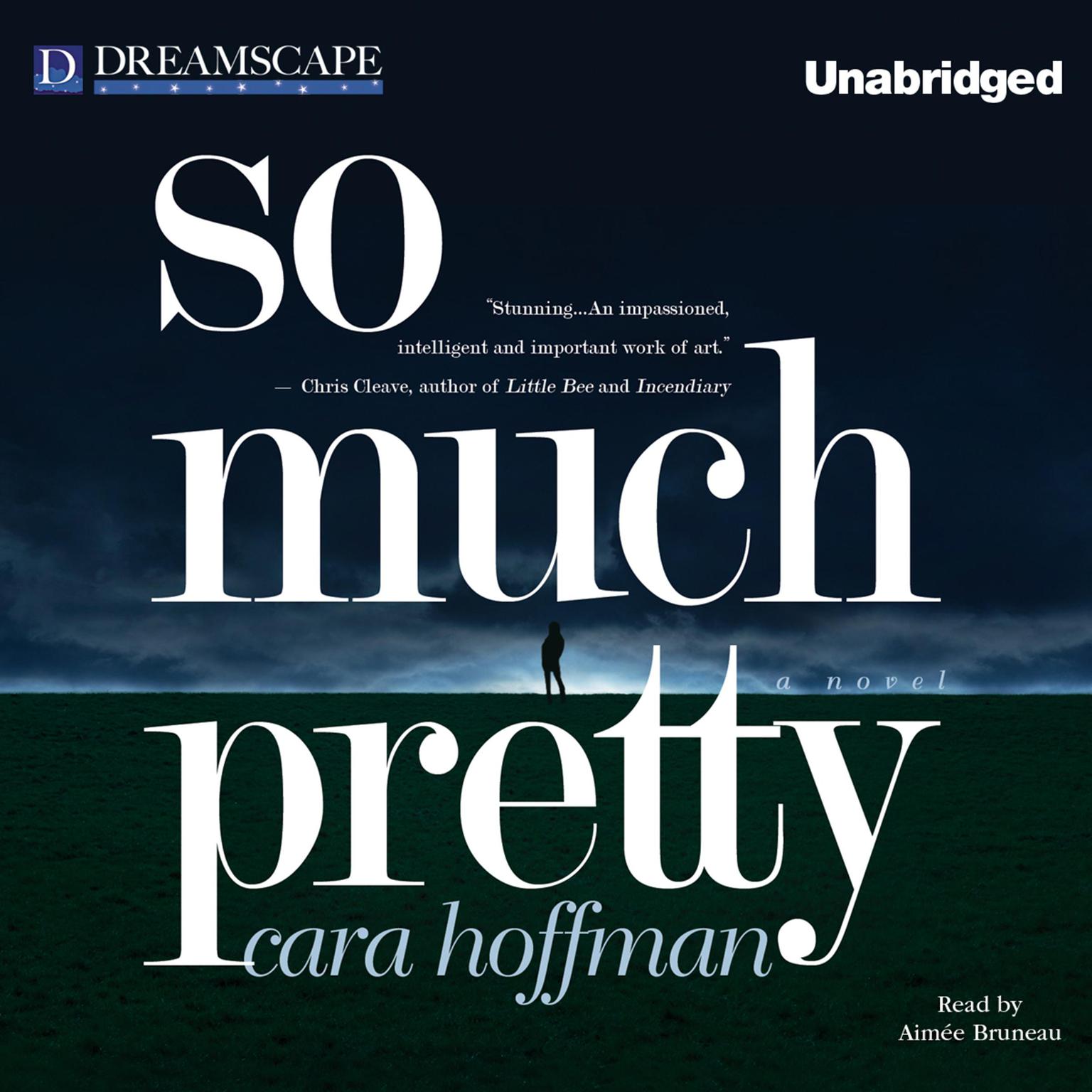 So Much Pretty Audiobook, by Cara Hoffman