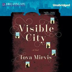 Visible City Audiobook, by Tova Mirvis