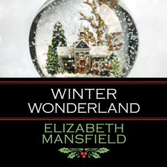 Winter Wonderland Audibook, by Elizabeth Mansfield