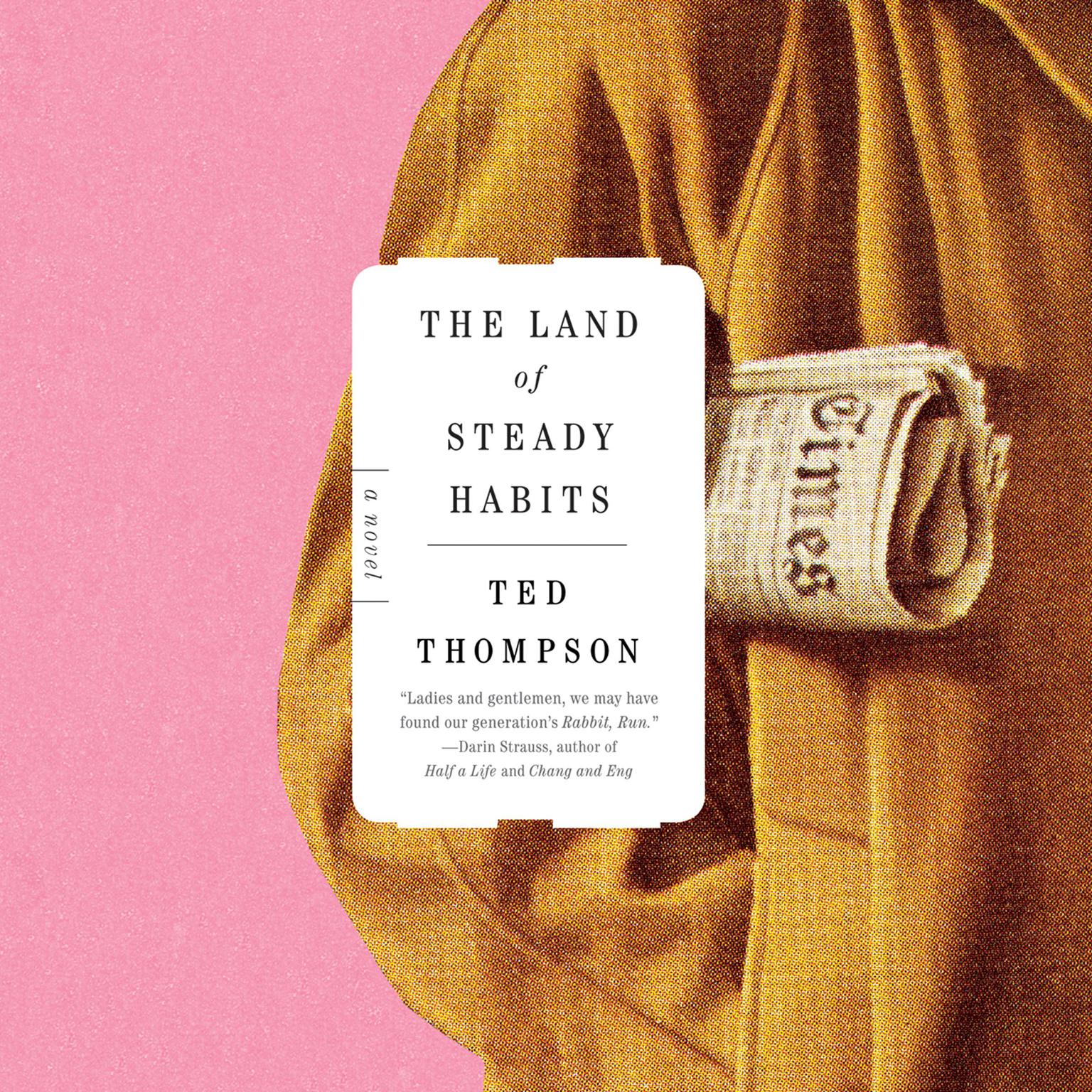 The Land of Steady Habits Audiobook, by Ted Thompson