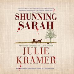 Shunning Sarah Audiobook, by Julie Kramer