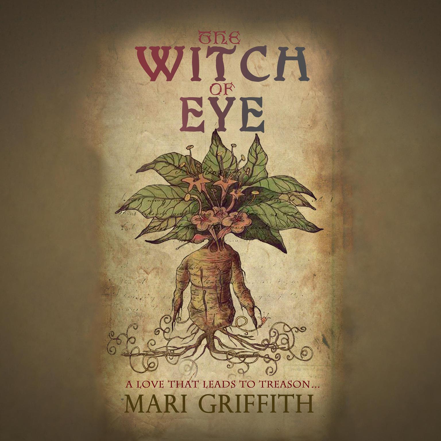 The Witch of Eye Audiobook, by Mari Griffith