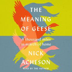 The Meaning of Geese: A Thousand Miles in Search of Home Audiobook, by Nick Acheson