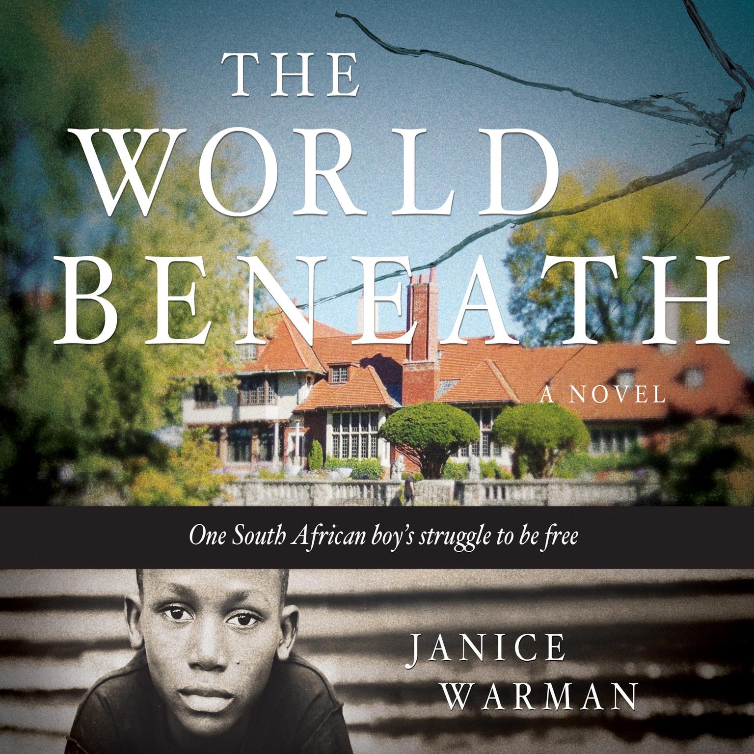 The World Beneath: A Novel Audiobook, by Janice Warman