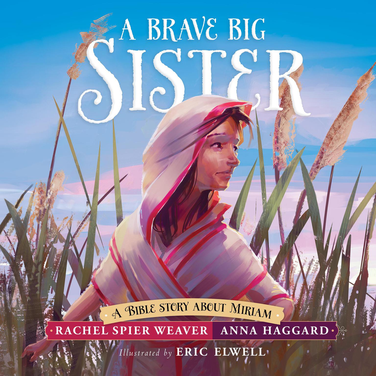 A Brave Big Sister: A Bible Story About Miriam Audiobook, by Rachel Spier Weaver