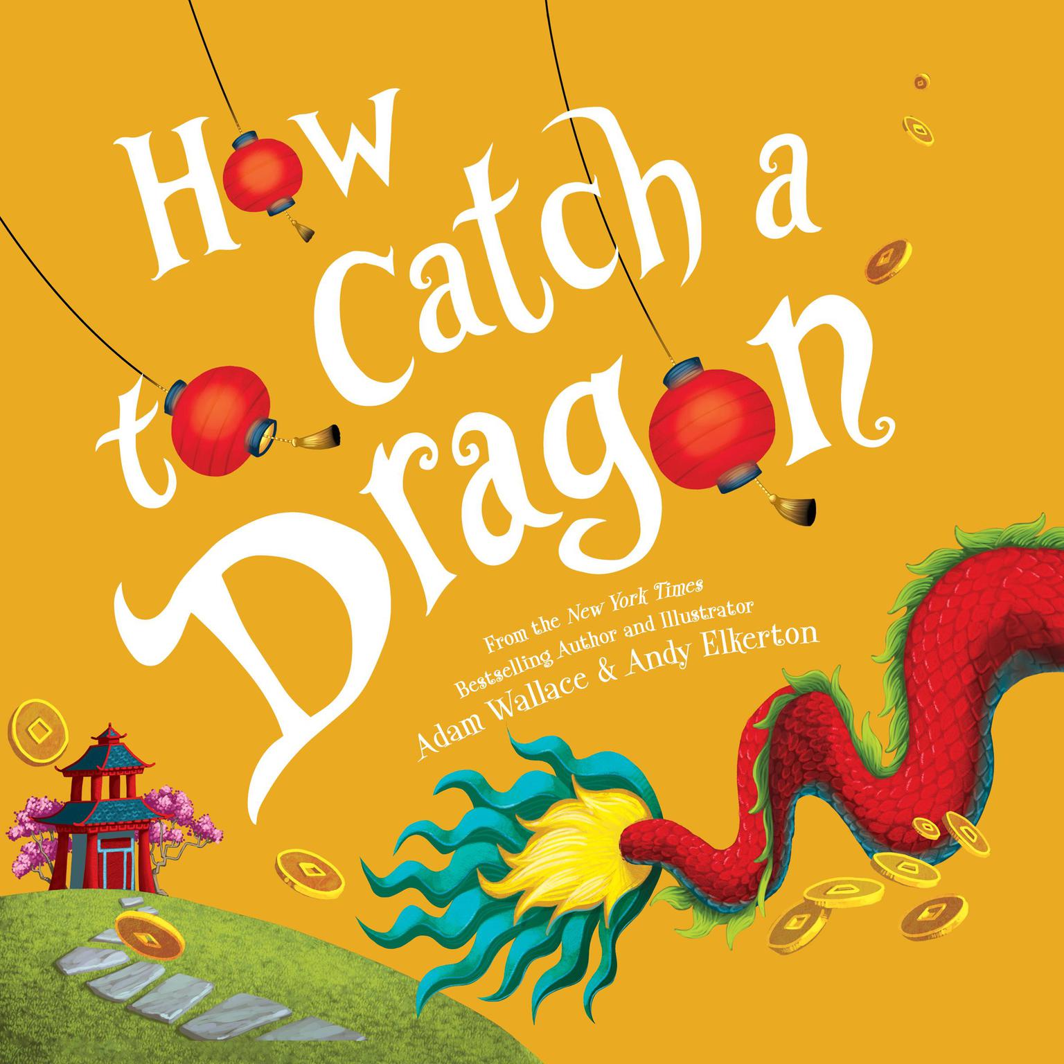 How to Catch a Dragon Audiobook, by Adam Wallace