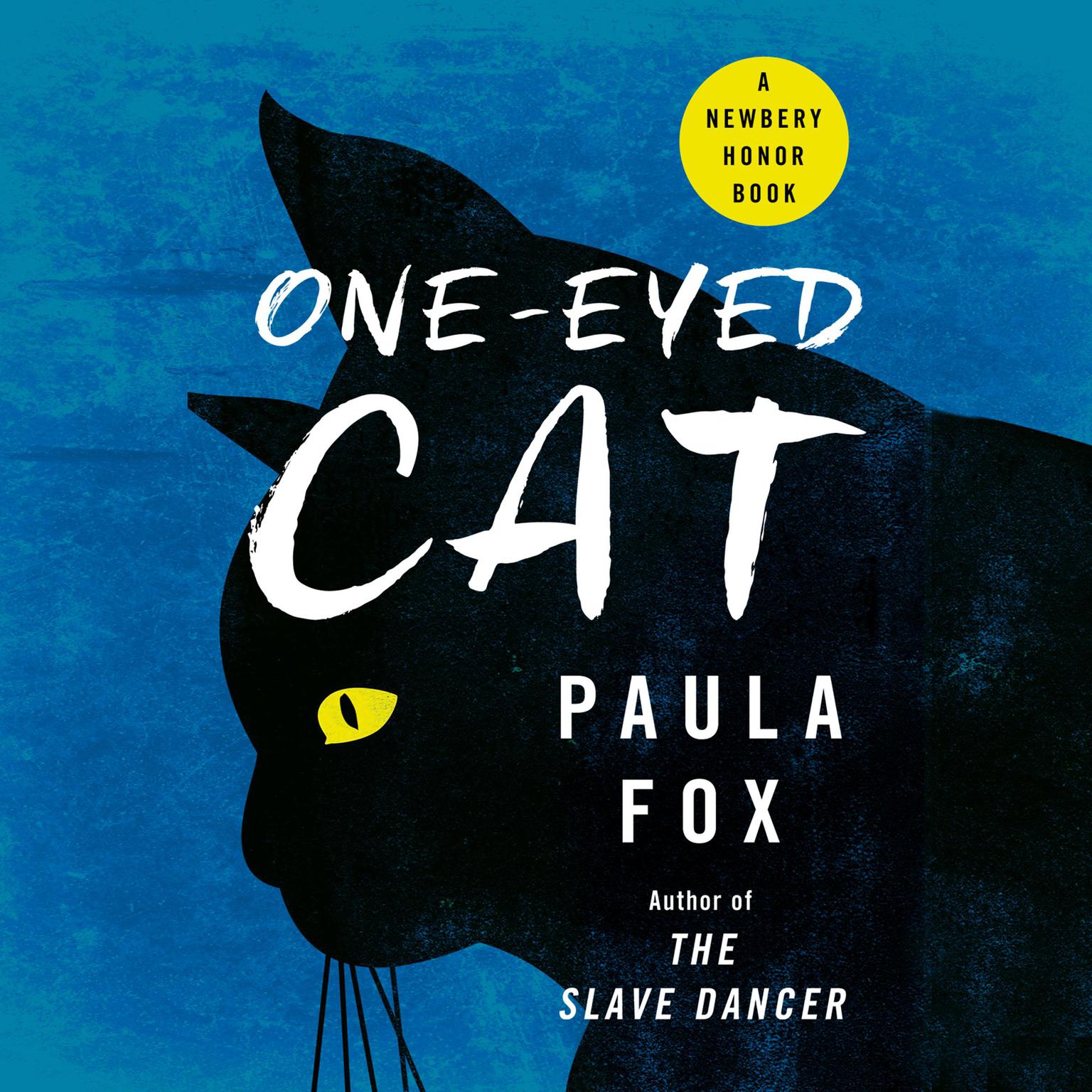 One-Eyed Cat Audiobook, by Paula Fox