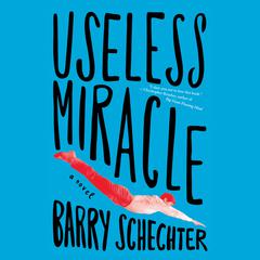 Useless Miracle Audiobook, by Barry Schechter