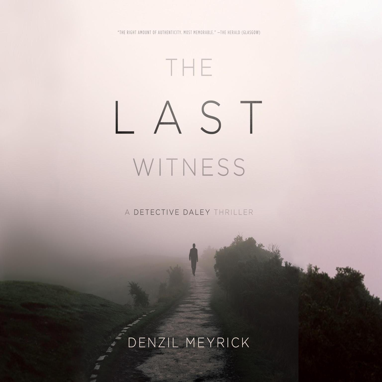 The Last Witness Audiobook, by Denzil Meyrick