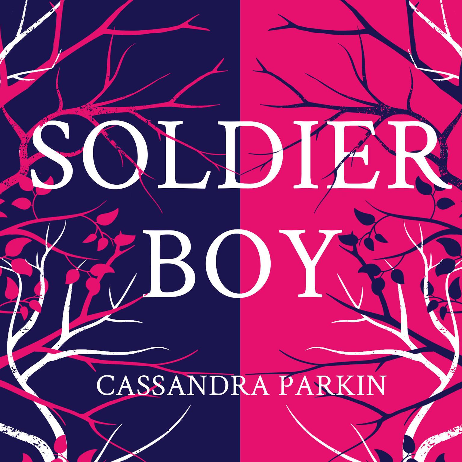 Soldier Boy Audiobook, by Cassandra Parkin